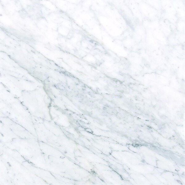 Msi Carrara White SAMPLE Polished Marble Floor And Wall Tile - ZOR-NS-0056-SAM