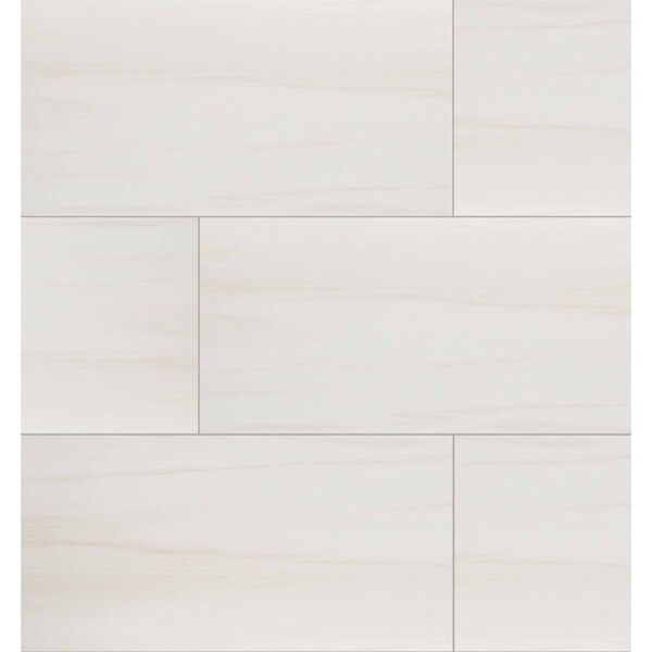 Msi Eden Dolomite SAMPLE Matte Porcelain Floor And Wall Tile - ZOR-PT-0168-SAM