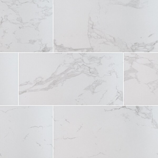 Msi Praia Carrara SAMPLE Glazed Porcelain Floor And Wall Tile - ZOR-PT-0578-SAM