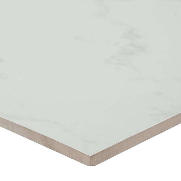 Msi Praia Carrara SAMPLE Glazed Porcelain Floor And Wall Tile - ZOR-PT-0578-SAM