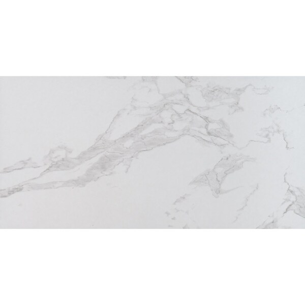 Msi Praia Carrara SAMPLE Glazed Porcelain Floor And Wall Tile - ZOR-PT-0578-SAM