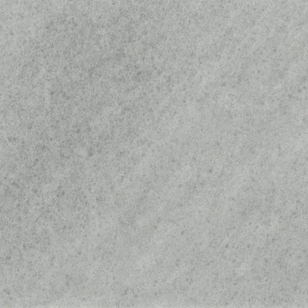 Msi Fossil Snow SAMPLE Glazed Porcelain Pattern Paver Tile - ZOR-LSC-0032-SAM