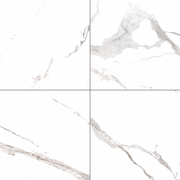 Msi Eden Statuary SAMPLE Polished Porcelain Floor And Wall Tile - ZOR-PT-0458-SAM