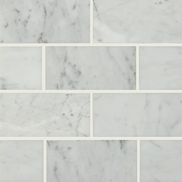Msi Carrara White SAMPLE Polished Marble Floor And Wall Tile - ZOR-NS-0063-SAM