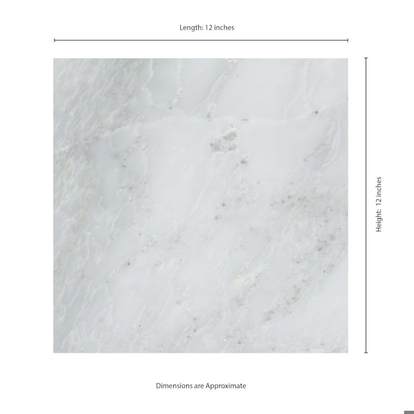 Msi Arabescato Carrara 12 In. X 12 In. Honed Marble Floor And Wall Tile, 5PK - ZOR-NS-0030