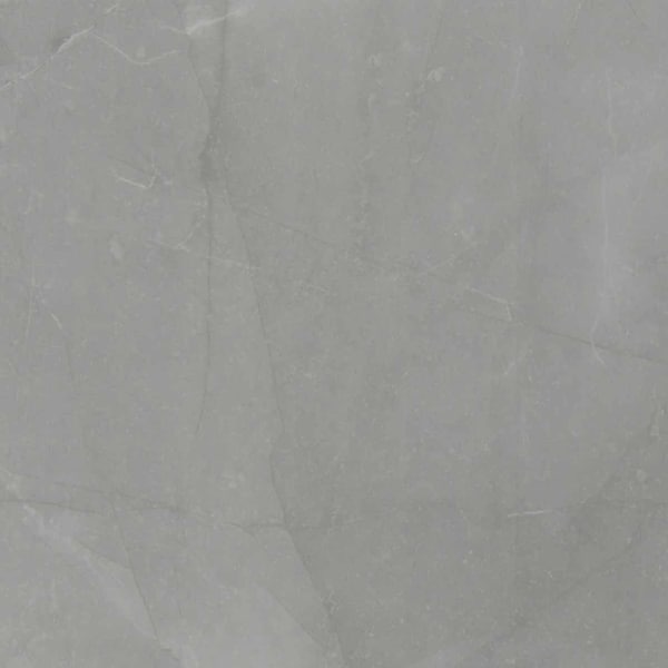 Msi Sande Gray 24 In. X 24 In. Polished Porcelain Floor And Wall Tile, 4PK - ZOR-PT-0515