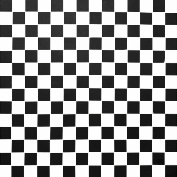 Msi White And Black SAMPLE Matte Porcelain Floor And Wall Tile - ZOR-PT-0498-SAM