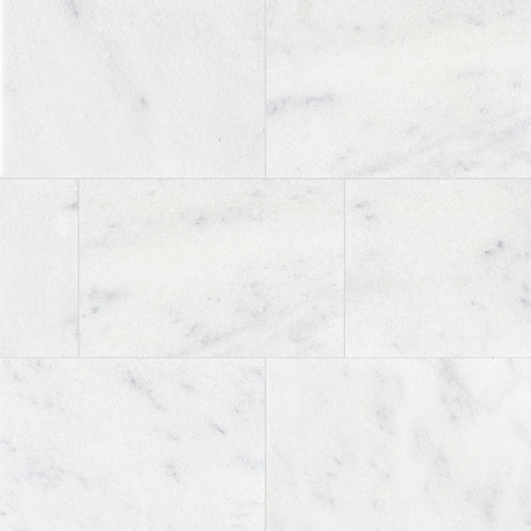 Msi Sierra White 16''x24'' Sandblasted Marble Paver Tile - ZOR-LSC-0189