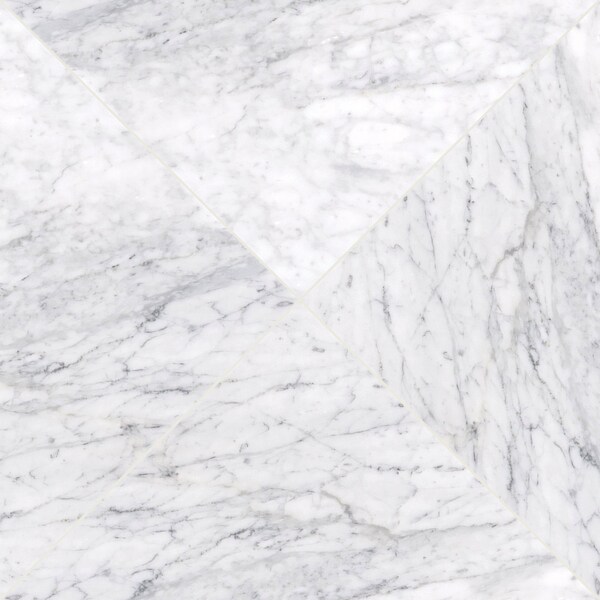 Msi Carrara White SAMPLE Honed Marble Floor And Wall Tile - ZOR-NS-0057-SAM