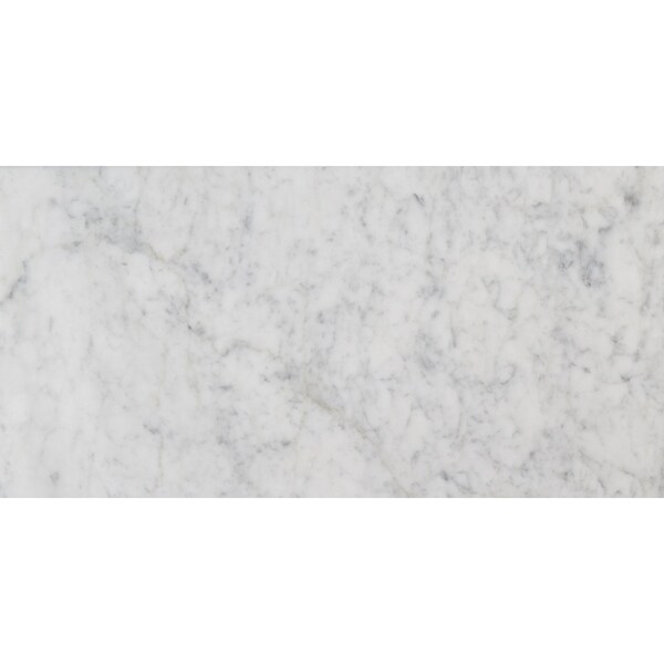Msi Carrara White SAMPLE Polished Marble Floor And Wall Tile - ZOR-NS-0058-SAM