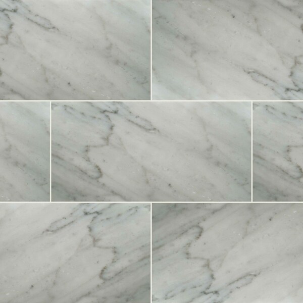 Msi Carrara White SAMPLE Honed Marble Floor And Wall Tile - ZOR-NS-0059-SAM