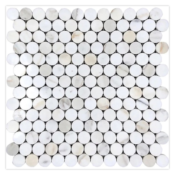 Apollo Tile 11x12 in. Polished White Gray Marble Mosaic Penny Round Wall and Floor Tile 4.47 sq ft/case, 5PK - APLTSC88P12PA