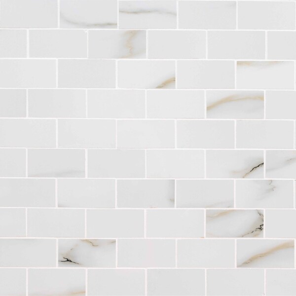Msi Aria Bianco 2 In. X 4 In. Polished Porcelain Mesh-Mounted Mosaic Tile, 8PK - ZOR-PT-0385