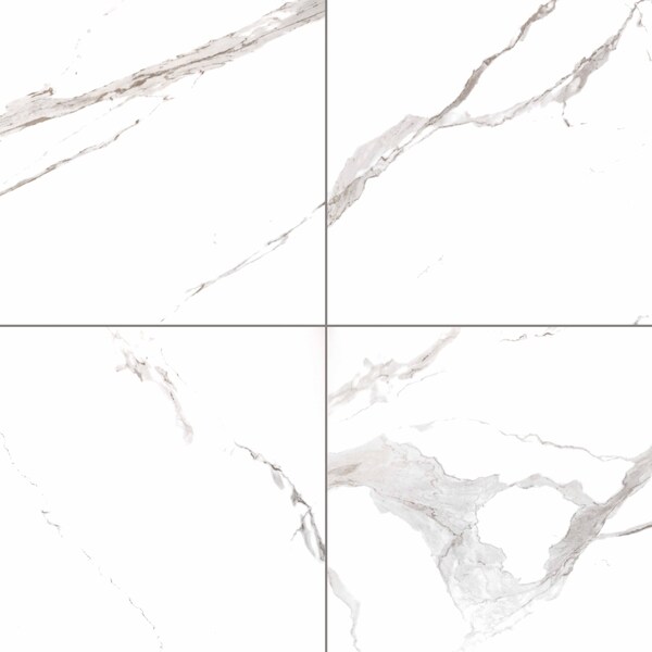 Msi Eden Statuary SAMPLE Glazed Porcelain Floor And Wall Tile - ZOR-PT-0462-SAM
