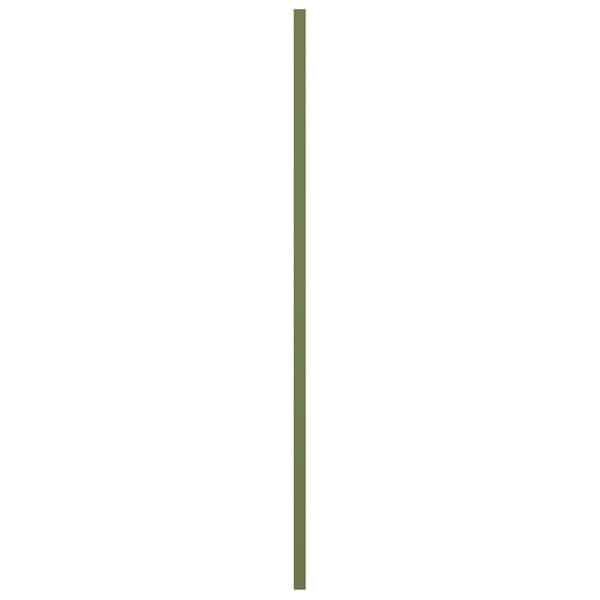 Ekena Millwork True Fit PVC Cedar Park Fixed Mount Shutters, Moss Green, 18W x 67H, PR - TFP001CP18X067MG