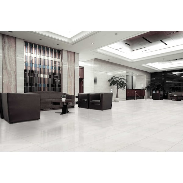 Msi Aria Ice 24 In. X 24 In. Polished Porcelain Floor And Wall Tile, 4PK - ZOR-PT-0206