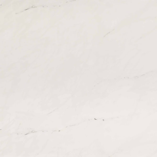 Msi Aria Ice 24 In. X 24 In. Polished Porcelain Floor And Wall Tile, 4PK - ZOR-PT-0206
