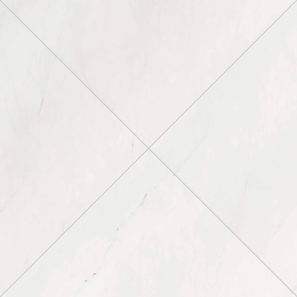 Msi Aria Ice 24 In. X 24 In. Polished Porcelain Floor And Wall Tile, 4PK - ZOR-PT-0206