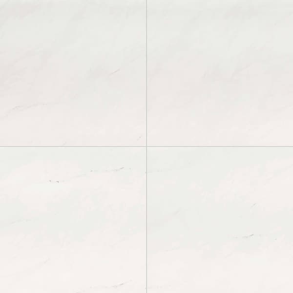 Msi Aria Ice 24 In. X 24 In. Polished Porcelain Floor And Wall Tile, 4PK - ZOR-PT-0206