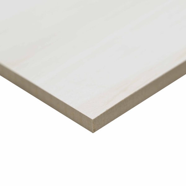 Msi Eden Dolomite SAMPLE Matte Porcelain Floor And Wall Tile - ZOR-PT-0413-SAM
