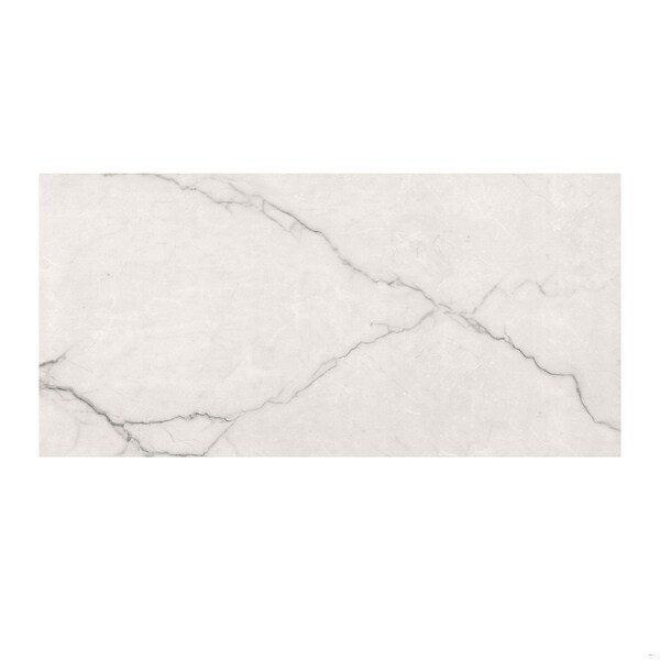 Msi Brighton Grey Sample Polished Porcelain Floor And Wall Tile - ZOR-PT-SAM-0751