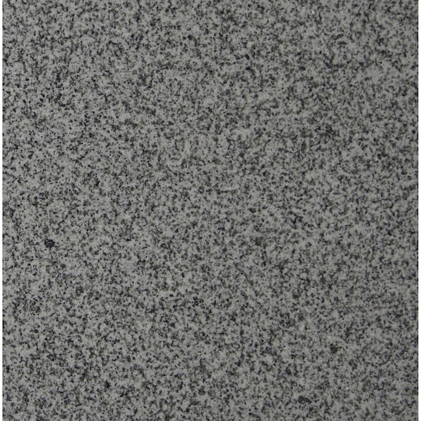 Msi Bianco Catala SAMPLE Polished Granite Floor And Wall Tile - ZOR-NS-0077-SAM
