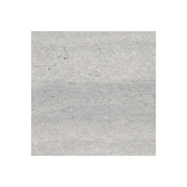 Msi Fossil River 6 " X 12 " Matte Porcelain Paver Tile, PK4 - ZOR-LSC-0201