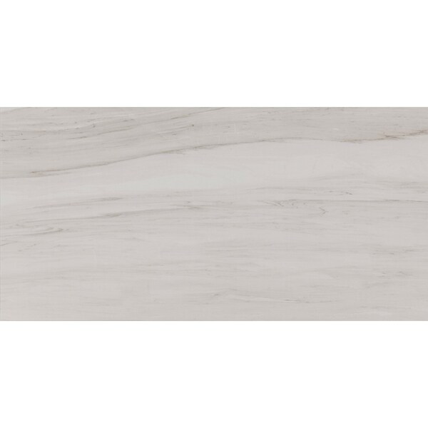 Daltile Core Fundamentals Platinum 12'' x 24'' Floor Tile 17.60 SQFT Per Carton, 9PK - CT75RCT1224MTJ1