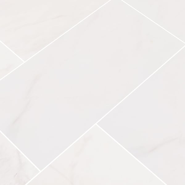 Msi Bianco Dolomite Bevelled 12 In. X 24 In. Polished Marble Floor And Wall Tile, 5PK - ZOR-NS-0045