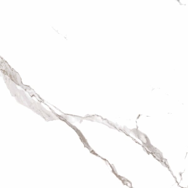 Msi Eden Statuary 24 In. X 24 In. Polished Porcelain Floor And Wall Tile, 4PK - ZOR-PT-0458