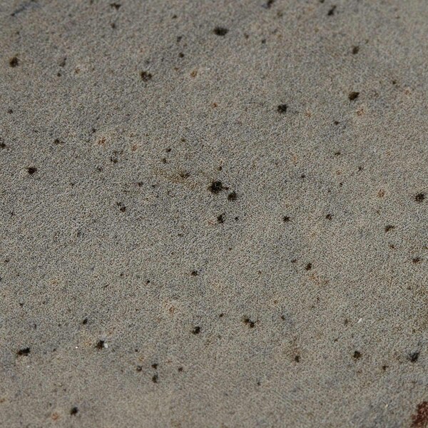 Daltile Daltile Remedy 2-1/4" x 9-1/2" Porcelain Wall Tile in Glossy Zen, PK36 - RD23RCT210HDCGL
