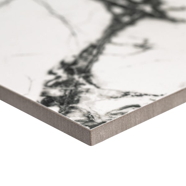 Msi Glacial Veil 24in X 48in Polished Porcelain Floor And Wall Tile, 2PK - ZOR-PT-0798