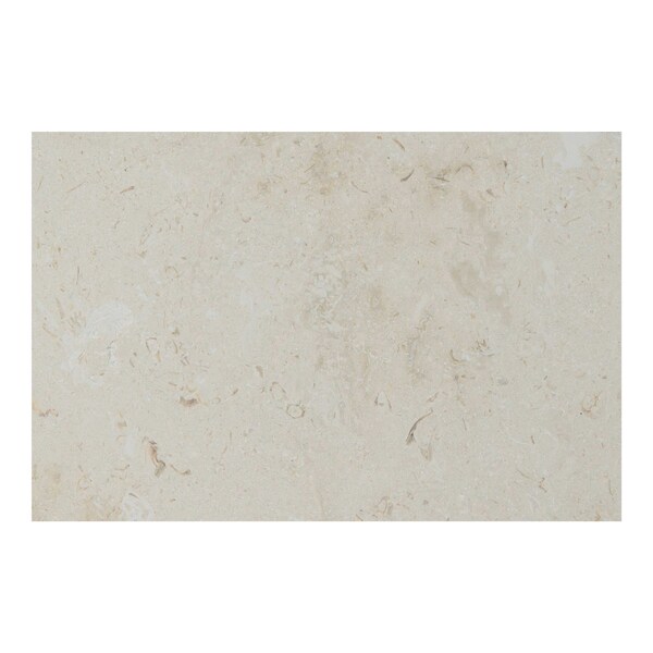 Msi Mayra White 16"X 24" Honed- Eased Edge Limestone Pool Coping - ZOR-LSC-0004