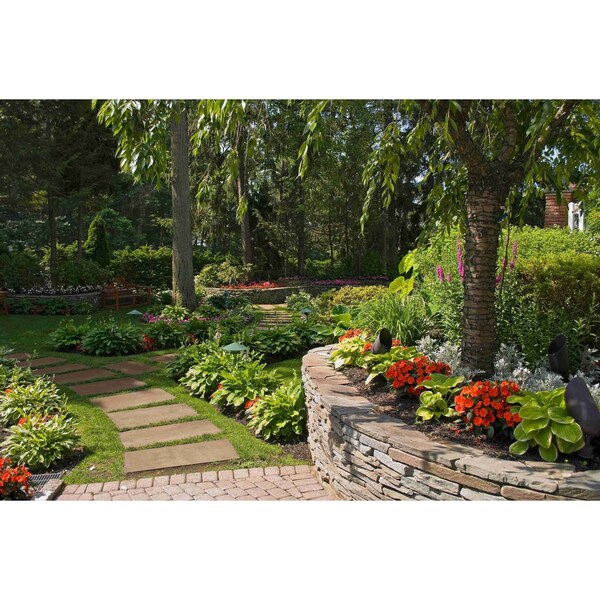 Msi Lucas Betulla 12 In. X 48 In. Porcelain Paver Tile, 2PK - ZOR-LSC-0039