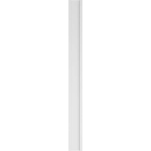 Ekena Millwork Two Equal Flat Panel PVC Pilaster w/Standard Capital & Base, 10"W x 108"H x 2"P - PILP10X108DFP01-2
