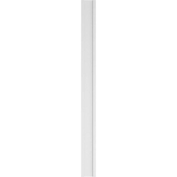 Ekena Millwork Flat Panel PVC Pilaster w/Standard Capital & Base, 10"W x 120"H x 2"P - PILP10X120FP01-2