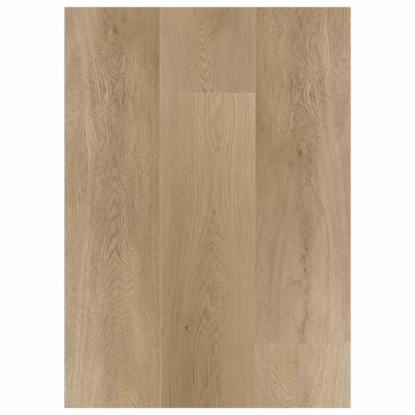 Daltile Asher Bend 9in. x 71in. Glue Down Luxury Vinyl Flooring 35.36 Sq Ft, 8PK - AB23971GD20ML3M