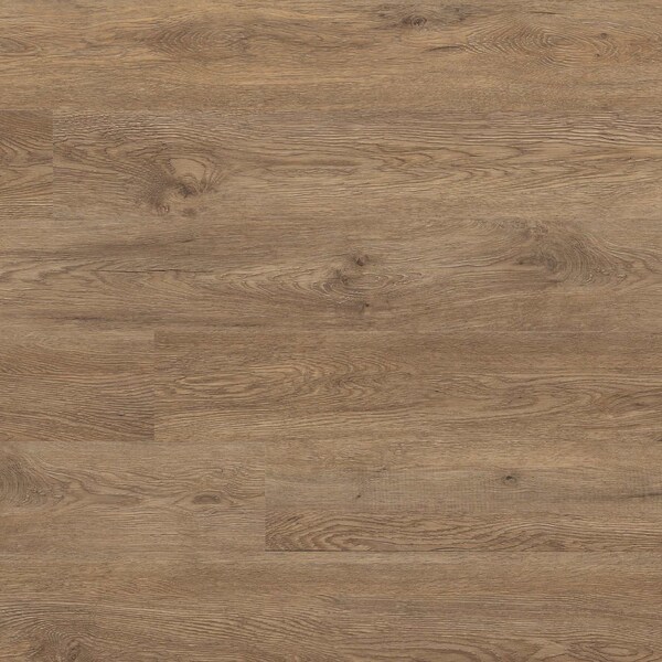 Msi Glenridge Saddle Oak SAMPLE Glue Down Luxury Vinyl Plank Flooring - ZOR-LVG-0111-SAM