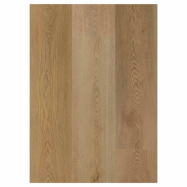Daltile Asher Bend 9in. x 71in. Rigid Click Luxury Vinyl Flooring 26.50 Sq Ft, 6PK - AB2497120L65MSX