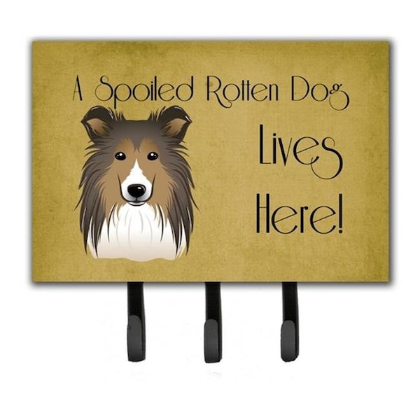 Carolines Treasures Carolines Treasures BB1490TH68 Sheltie Spoiled Dog Lives Here Leash & Key Holder - BB1490TH68