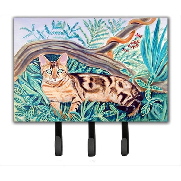 Carolines Treasures Cat Maine Coon Leash Holder or Key Hook - 7139TH68