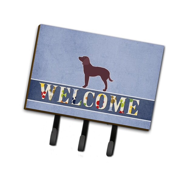 Carolines Treasures American Water Spaniel Welcome Leash or Key Holder - BB5505TH68
