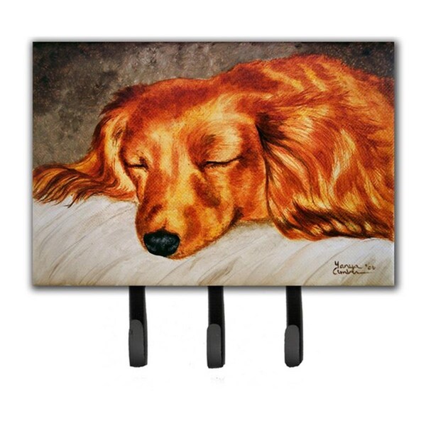 Jensendistributionservices Red Longhaired Dachshund Leash or Key Holder - MI1715812