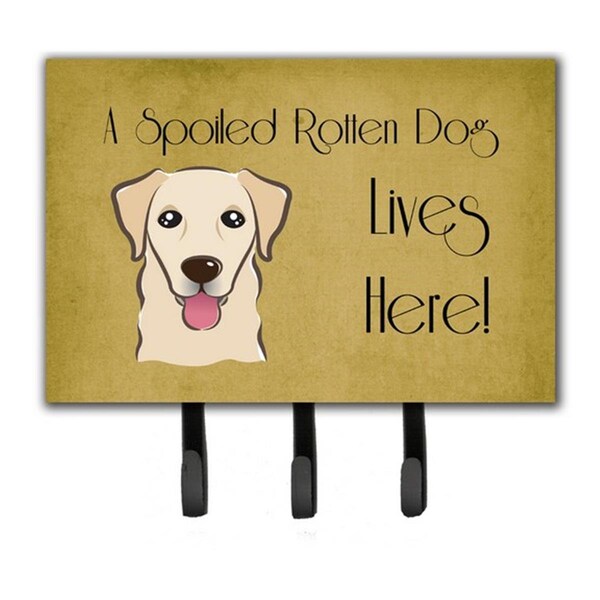 Jensendistributionservices Golden Retriever Spoiled Dog Lives Here Leash & Key Holder - MI1719822