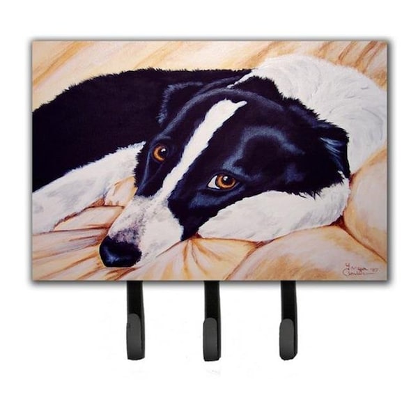 Carolines Treasures Carolines Treasures AMB1080TH68 Naptime Border Collie Leash or Key Holder - AMB1080TH68