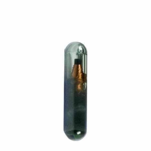 Oem OEM: NEW:  Chips: Original 4D60 Glass Transponder Chip - CHIP-4D60-GLASS