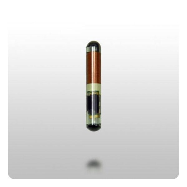 Keyless Factory KeylessFactory:Chips:4C Glass Transponder Chip - CHIP-4C-GLASS