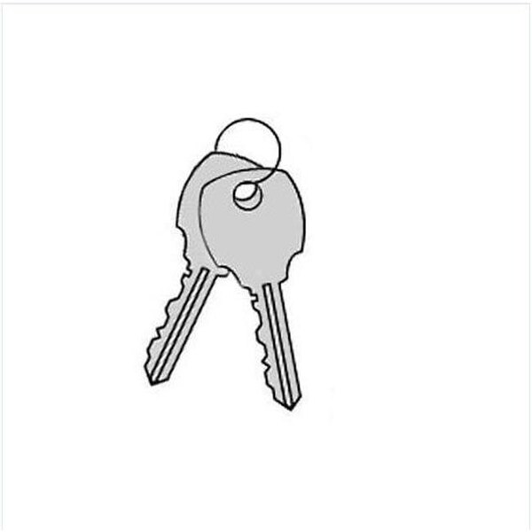 Salsbury Industries Salsbury Industries 77799 Key Blanks for Built-in Key Locks of Metal Lockers - 77799