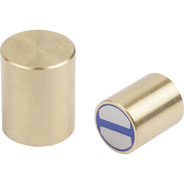 Kipp Magnet Deep Pot Magnet, Round, D=25, Form:A, Ndfeb, Comp:Brass - K1395.125