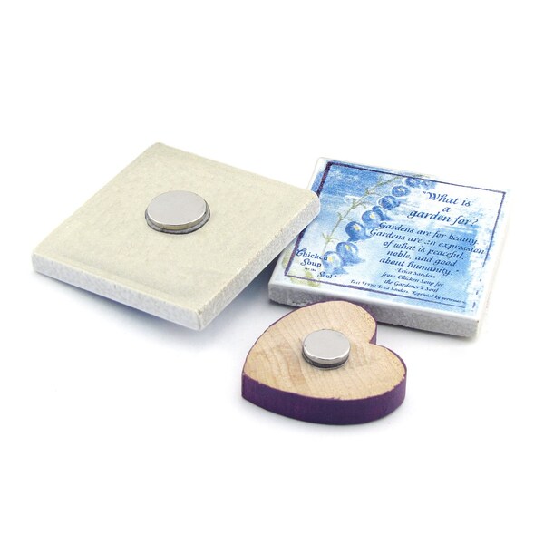 Master Magnetics Magnet Source .118 in. L X .315 in. W Silver Super Disc Magnets 2.9 lb. pull 10 pc - 07045